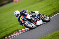 anglesey;brands-hatch;cadwell-park;croft;donington-park;enduro-digital-images;event-digital-images;eventdigitalimages;mallory;no-limits;oulton-park;peter-wileman-photography;racing-digital-images;silverstone;snetterton;trackday-digital-images;trackday-photos;vmcc-banbury-run;welsh-2-day-enduro